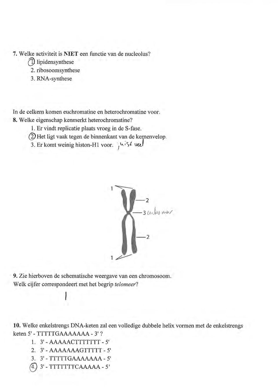 Er komt weinig histon-hl voor. /~",_r)t uw, ~ - 2-3 ~0vWN -2, p- 9. Zie hierboven de schematische weergave van een chromosoom. Welk cijfer correspondeert met het begrip telomeer? 10.