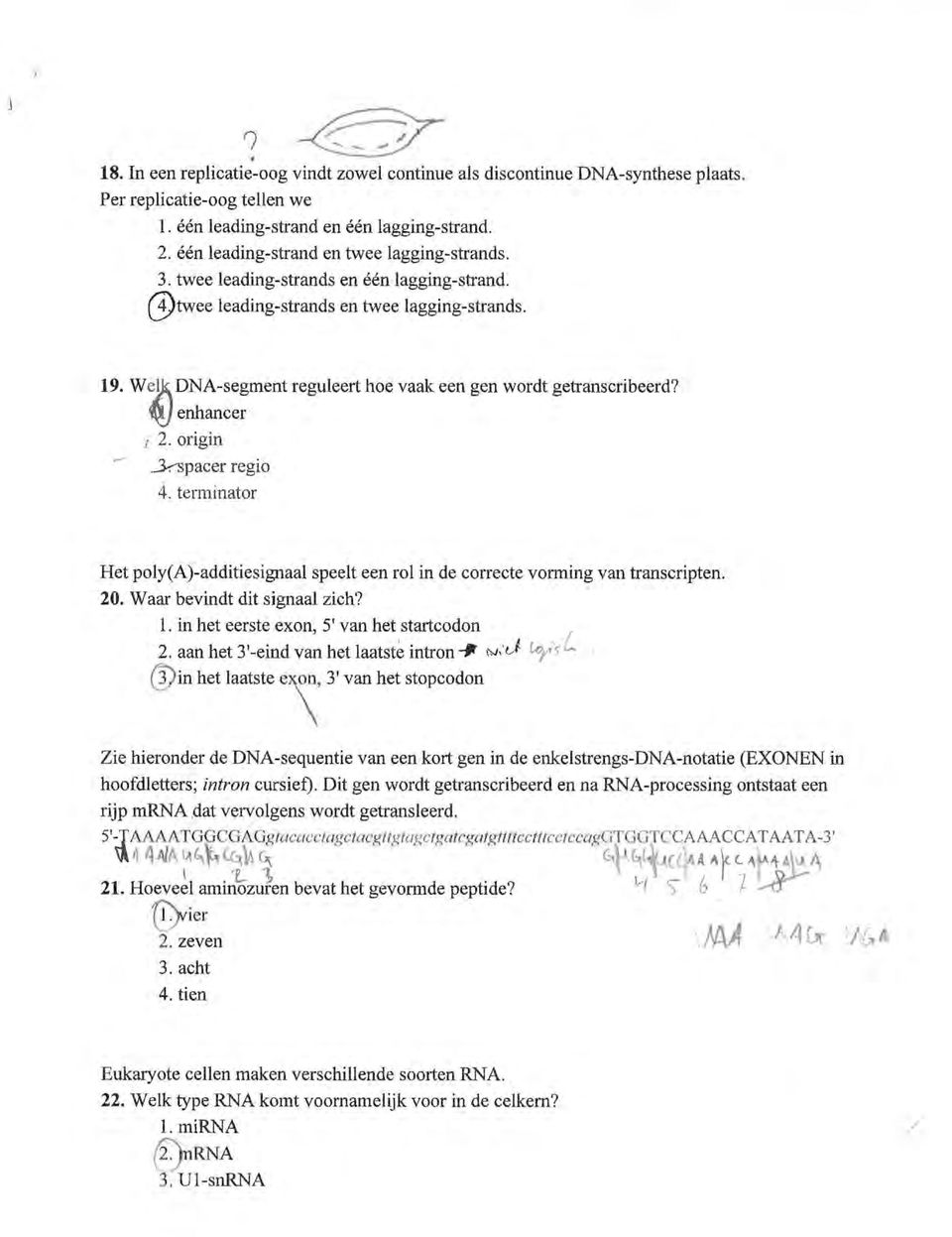 We]\ DNA-segment reguleert hoe vaak een gen wordt getranscribeerd? f\!j enhancer l 2. origin.3-:--spacer regio 4.