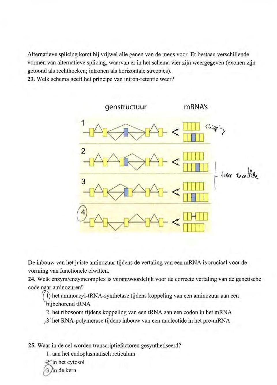 Welk schema geeft het principe van intron-retentie weer?