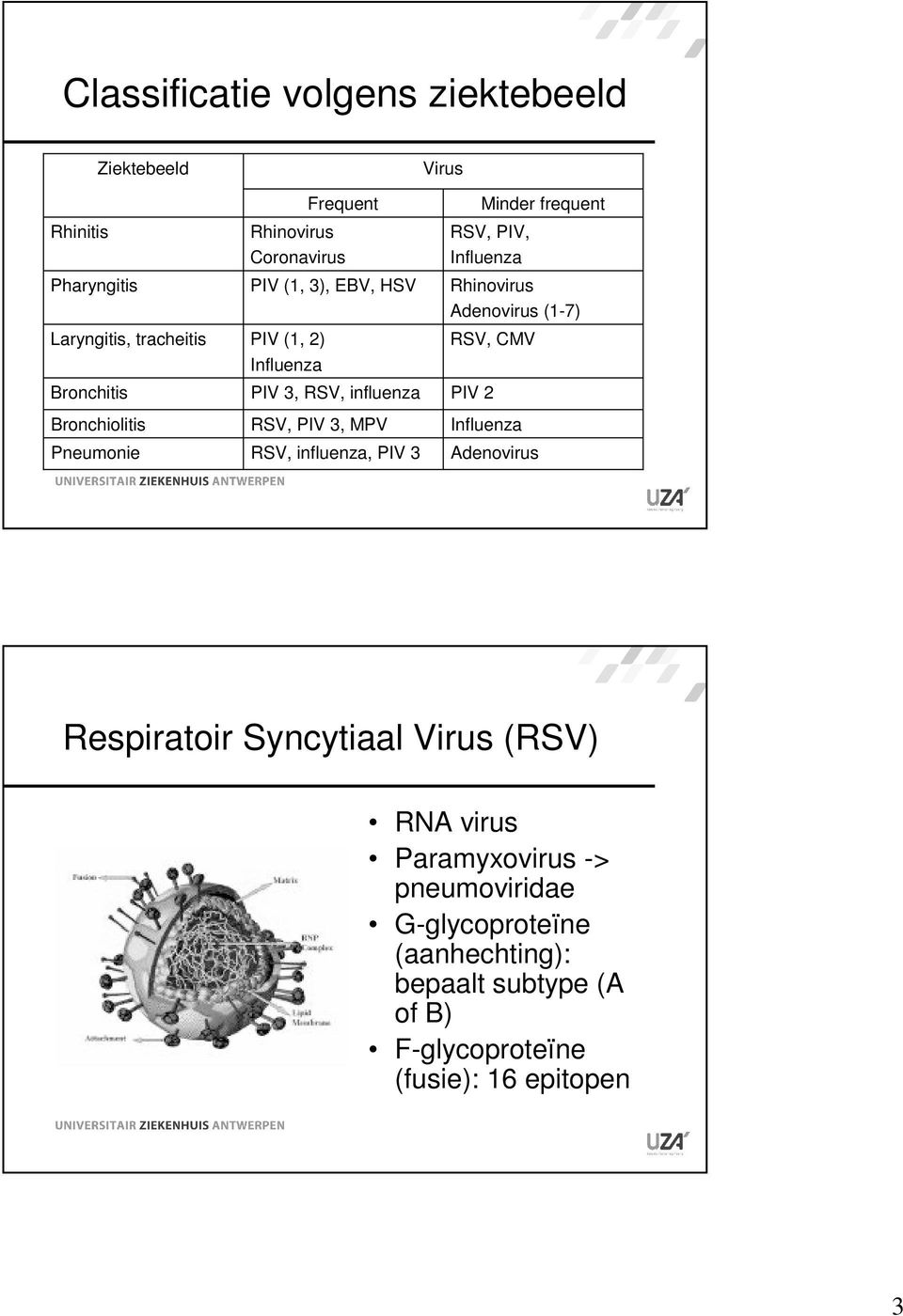 RSV, PIV, Influenza Rhinovirus Adenovirus (1-7) RSV, CMV PIV 2 Minder frequent Influenza Adenovirus Respiratoir Syncytiaal Virus