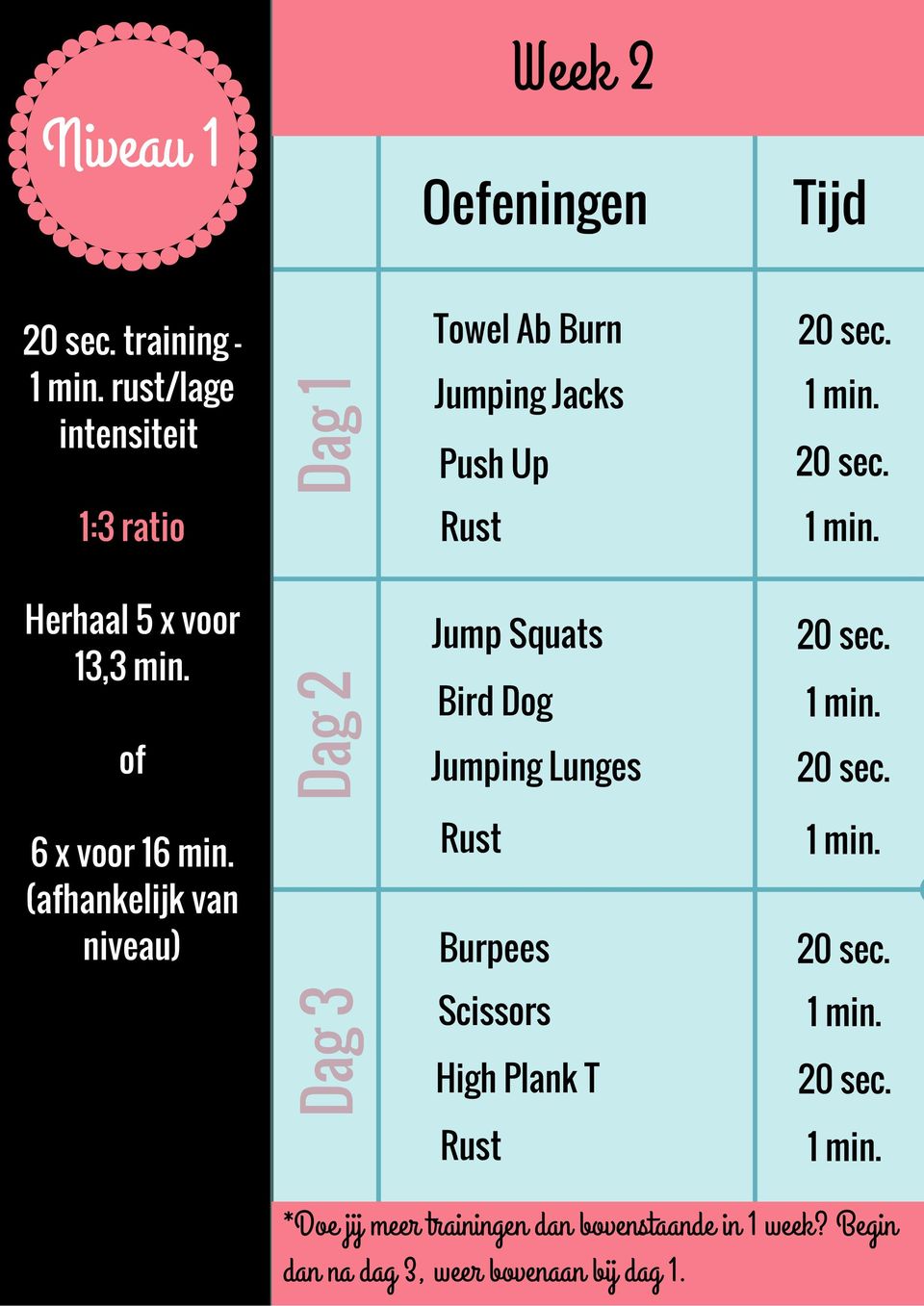 20 sec. 1:3 ratio Herhaal 5 x voor 13,3 min. of Dag 2 Jump Squats Bird Dog Jumping Lunges 20 sec.