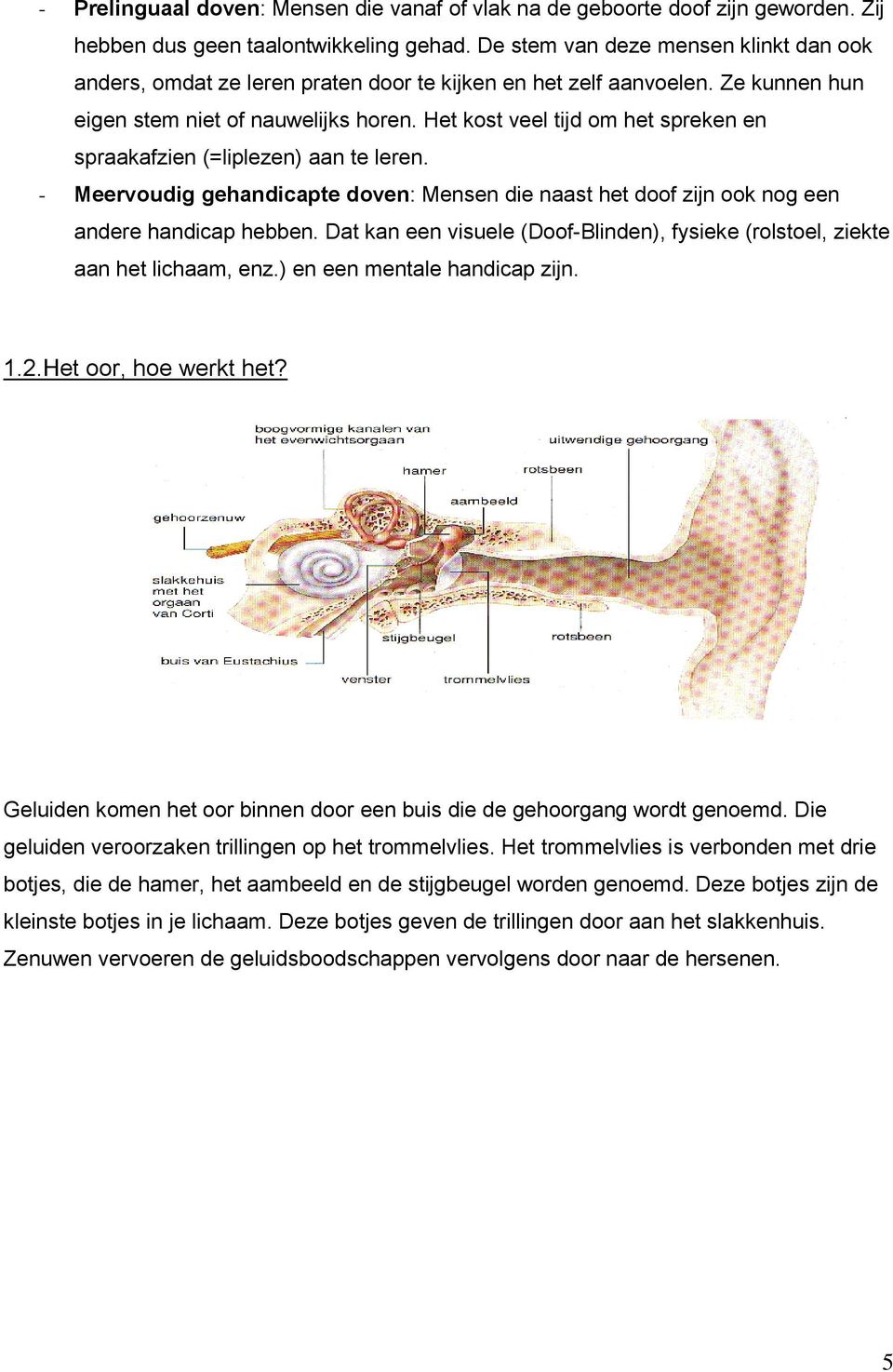 Het kost veel tijd om het spreken en spraakafzien (=liplezen) aan te leren. - Meervoudig gehandicapte doven: Mensen die naast het doof zijn ook nog een andere handicap hebben.