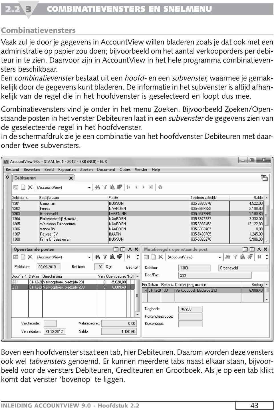 Een combinatievenster bestaat uit een hoofd- en een subvenster, waarmee je gemakkelijk door de gegevens kunt bladeren.