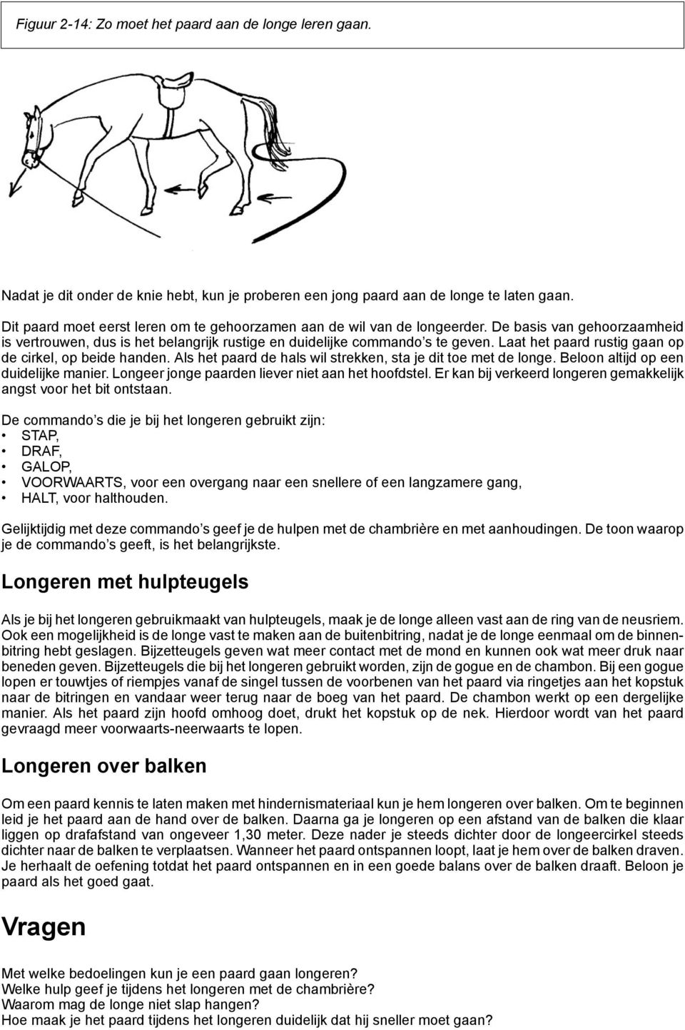 Laat het paard rustig gaan op de cirkel, op beide handen. Als het paard de hals wil strekken, sta je dit toe met de longe. Beloon altijd op een duidelijke manier.