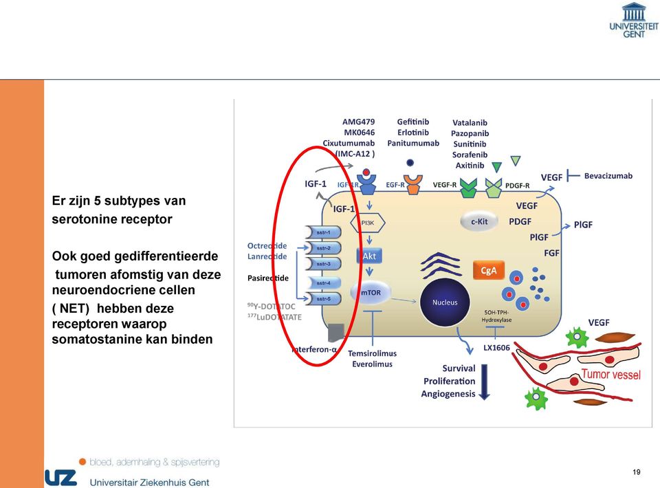 van deze neuroendocriene cellen ( NET) hebben