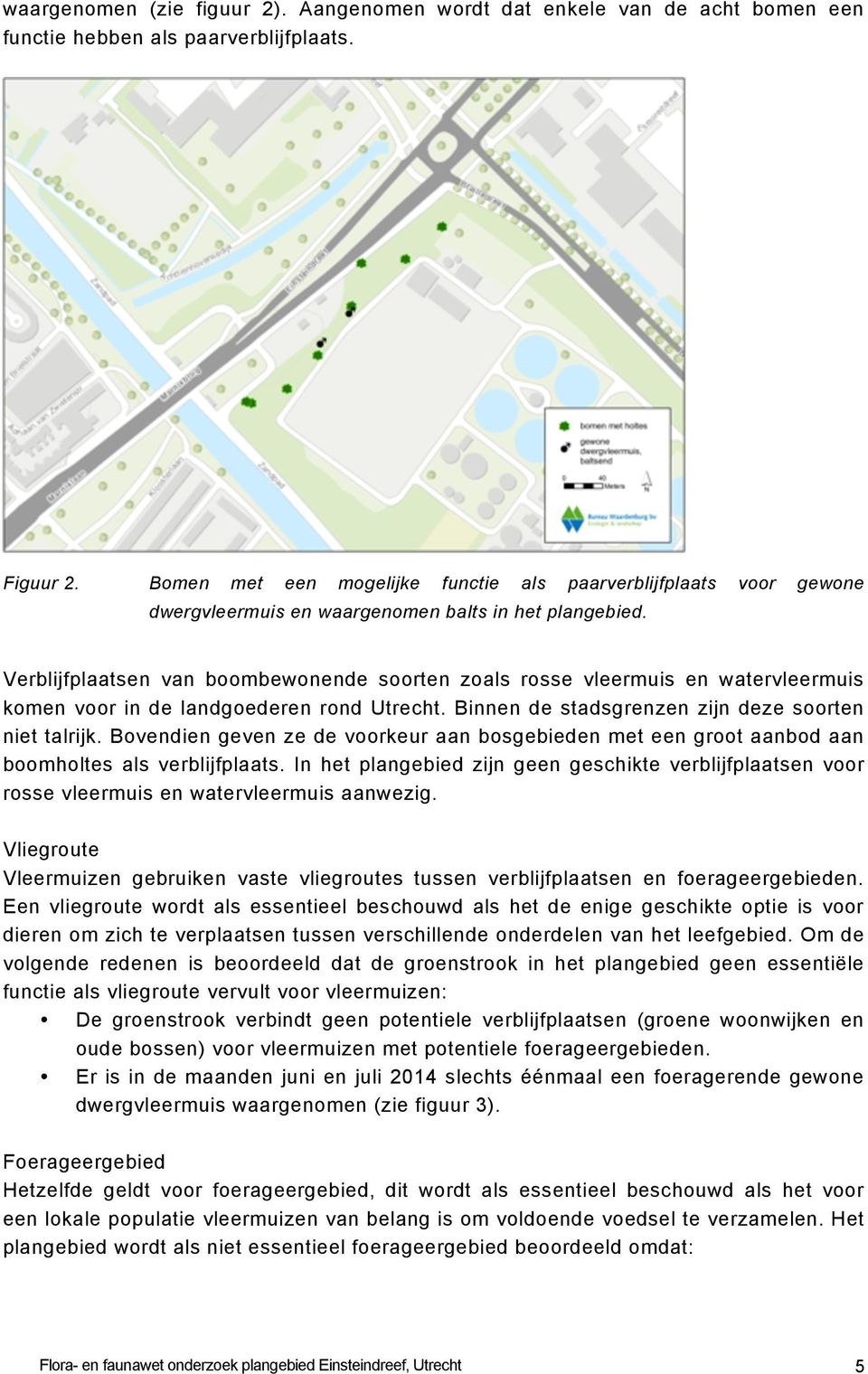 Verblijfplaatsen van boombewonende soorten zoals rosse vleermuis en watervleermuis komen voor in de landgoederen rond Utrecht. Binnen de stadsgrenzen zijn deze soorten niet talrijk.