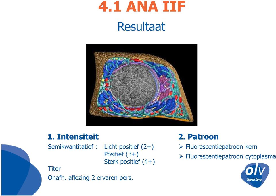 Positief (3+) Sterk positief (4+) Titer Onafh.