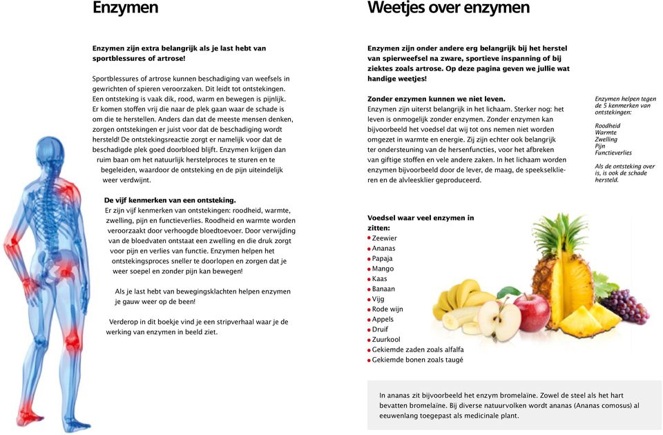 Er komen stoffen vrij die naar de plek gaan waar de schade is om die te herstellen. Anders dan dat de meeste mensen denken, zorgen ontstekingen er juist voor dat de beschadiging wordt hersteld!