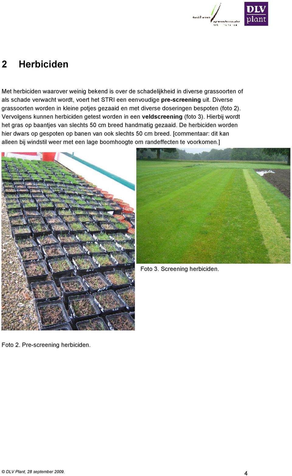 Vervolgens kunnen herbiciden getest worden in een veldscreening (foto 3). Hierbij wordt het gras op baantjes van slechts 50 cm breed handmatig gezaaid.