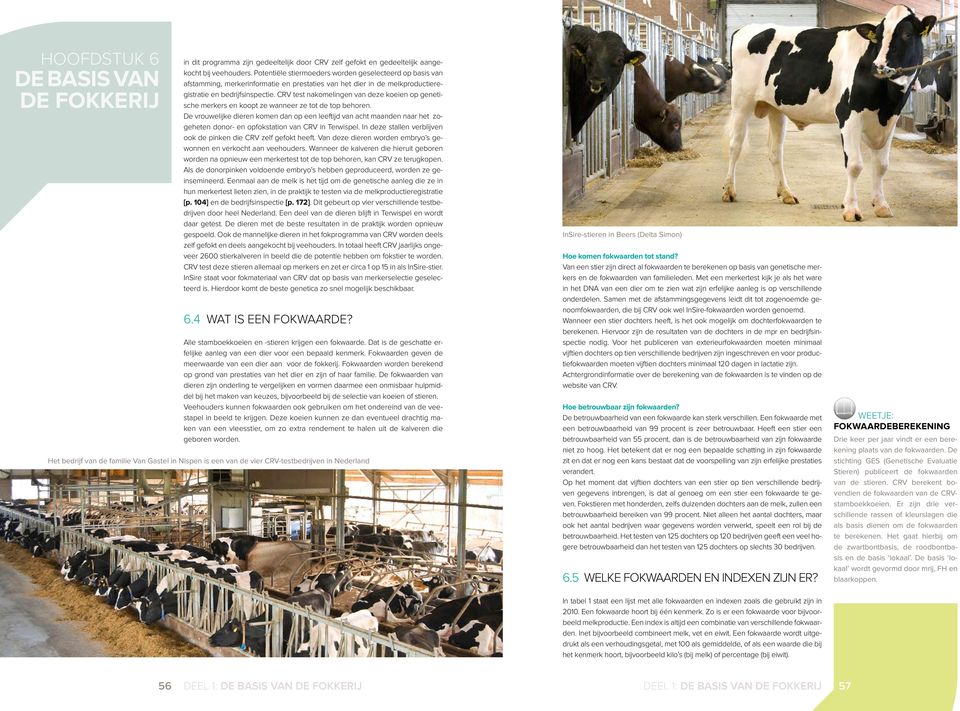 CRV test nakomelingen van deze koeien op genetische merkers en koopt ze wanneer ze tot de top behoren.