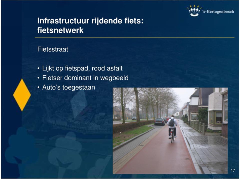 fietspad, rood asfalt Fietser