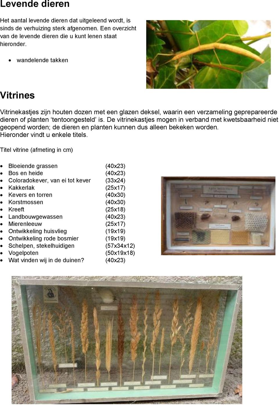 De vitrinekastjes mogen in verband met kwetsbaarheid niet geopend worden; de dieren en planten kunnen dus alleen bekeken worden. Hieronder vindt u enkele titels.