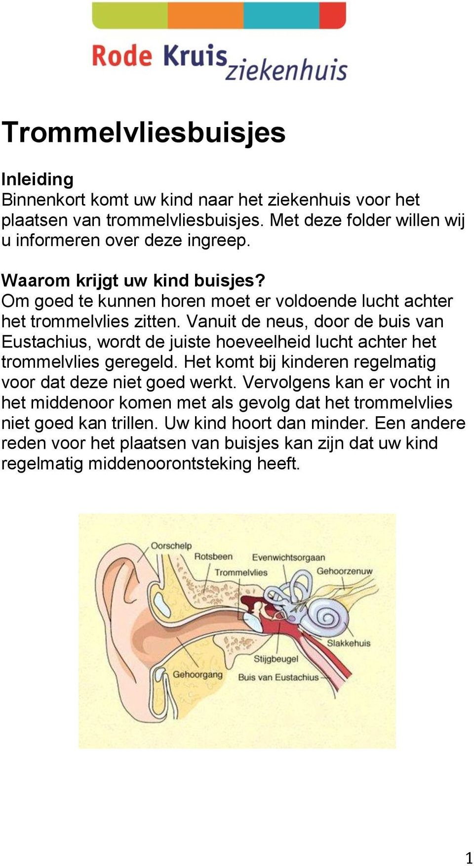 Vanuit de neus, door de buis van Eustachius, wordt de juiste hoeveelheid lucht achter het trommelvlies geregeld. Het komt bij kinderen regelmatig voor dat deze niet goed werkt.