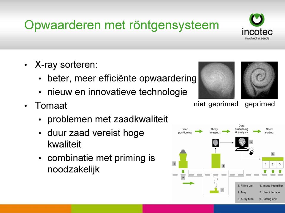 Tomaat problemen met zaadkwaliteit duur zaad vereist hoge