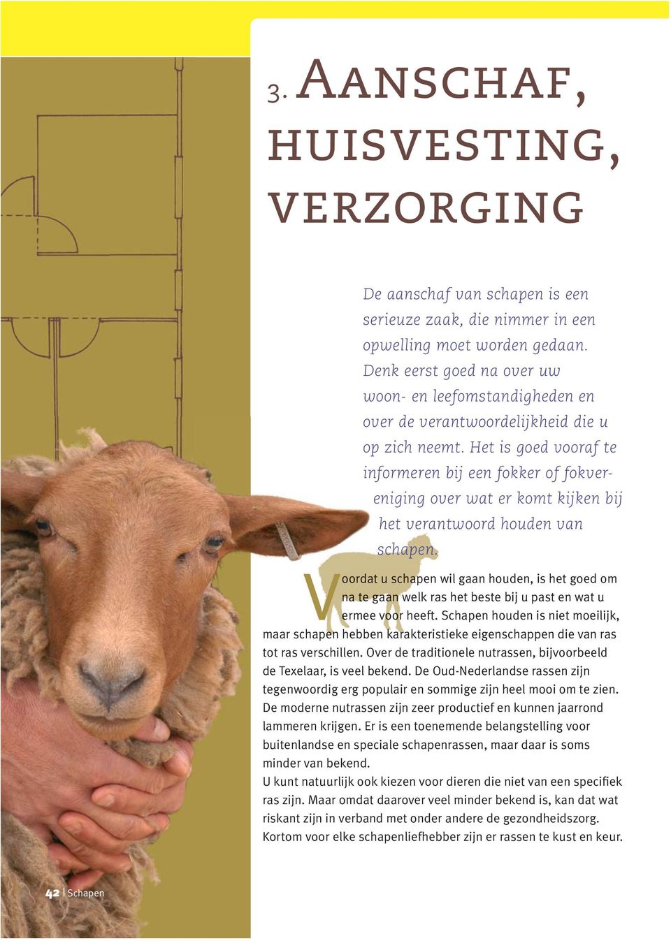 Het is goed vooraf te informeren bij een fokker of fokvereniging over wat er komt kijken bij het verantwoord houden van schapen.