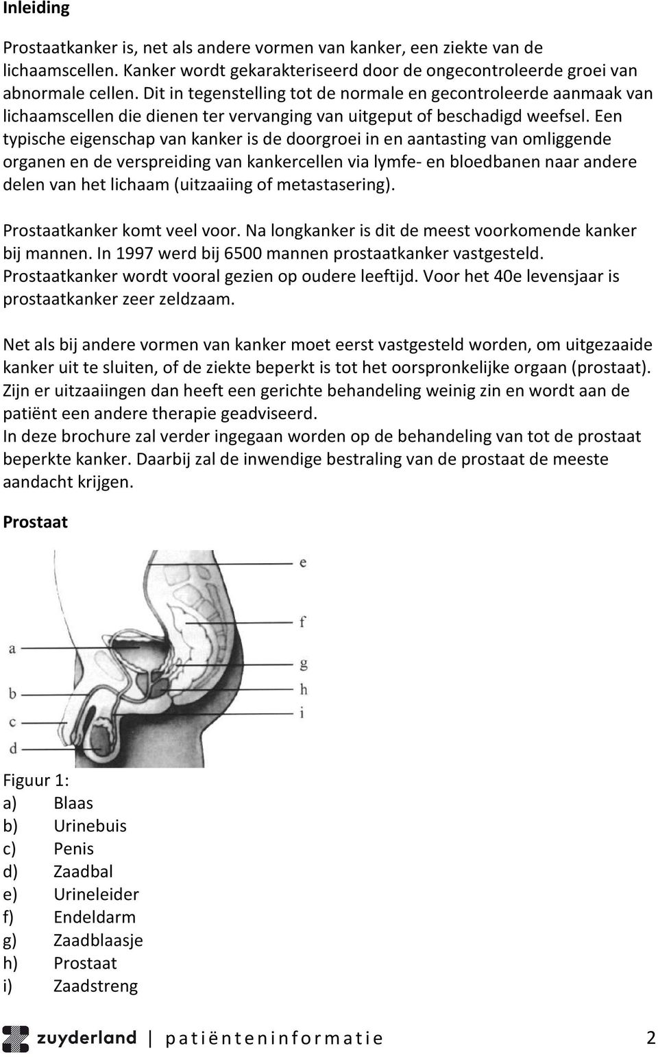 Een typische eigenschap van kanker is de doorgroei in en aantasting van omliggende organen en de verspreiding van kankercellen via lymfe- en bloedbanen naar andere delen van het lichaam (uitzaaiing