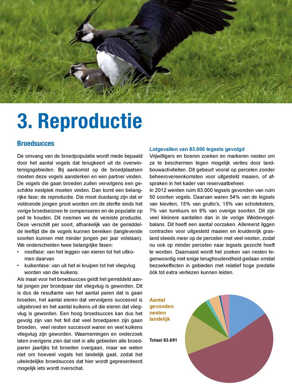 Dan komt een belangrijke fase; de reproductie. Die moet dusdanig zijn dat er voldoende jongen groot worden om de sterfte sinds het vorige broedseizoen te compenseren en de populatie op peil te houden.