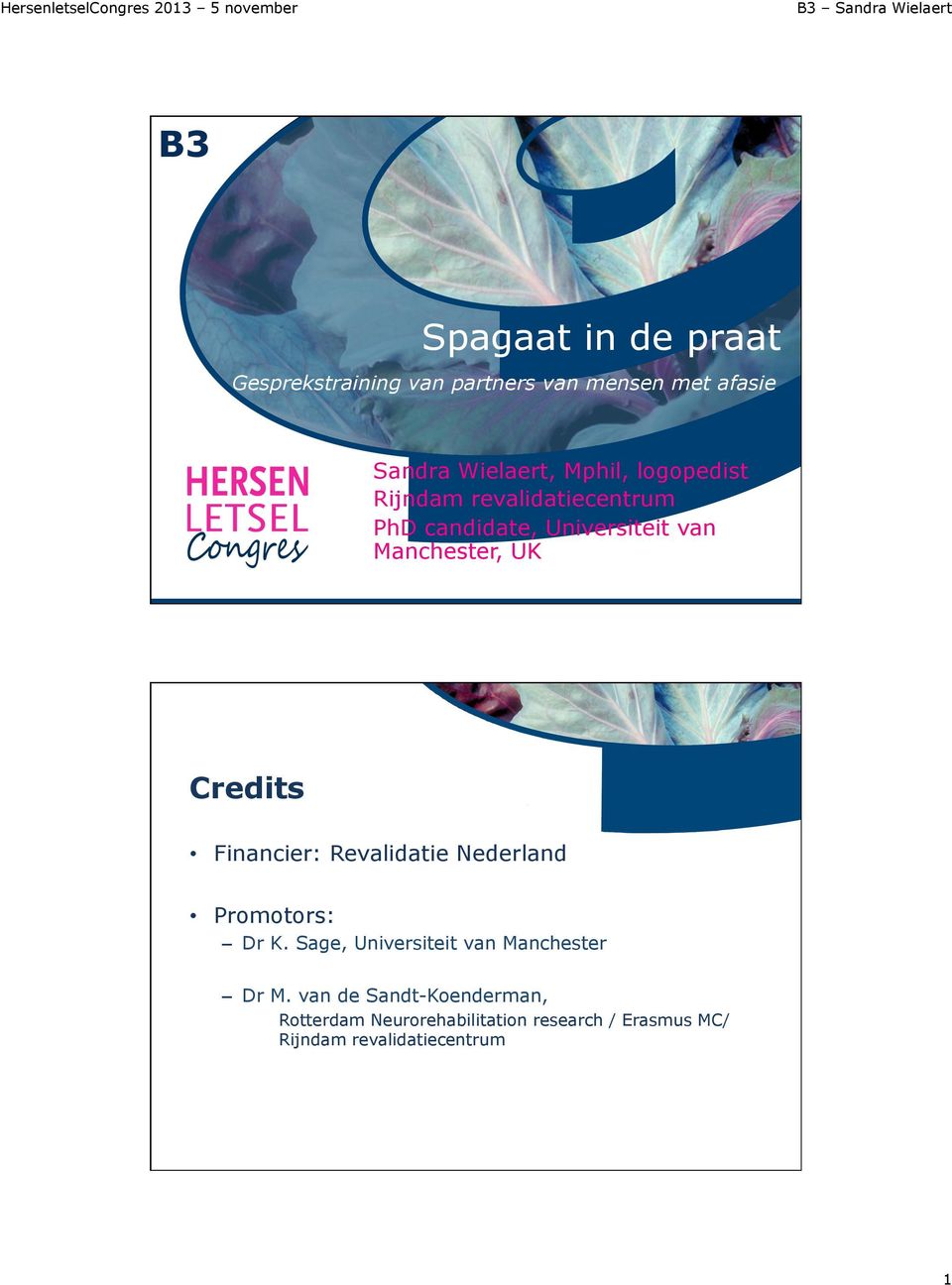 Credits Financier: Revalidatie Nederland Promotors: Dr K. Sage, Universiteit van Manchester Dr M.