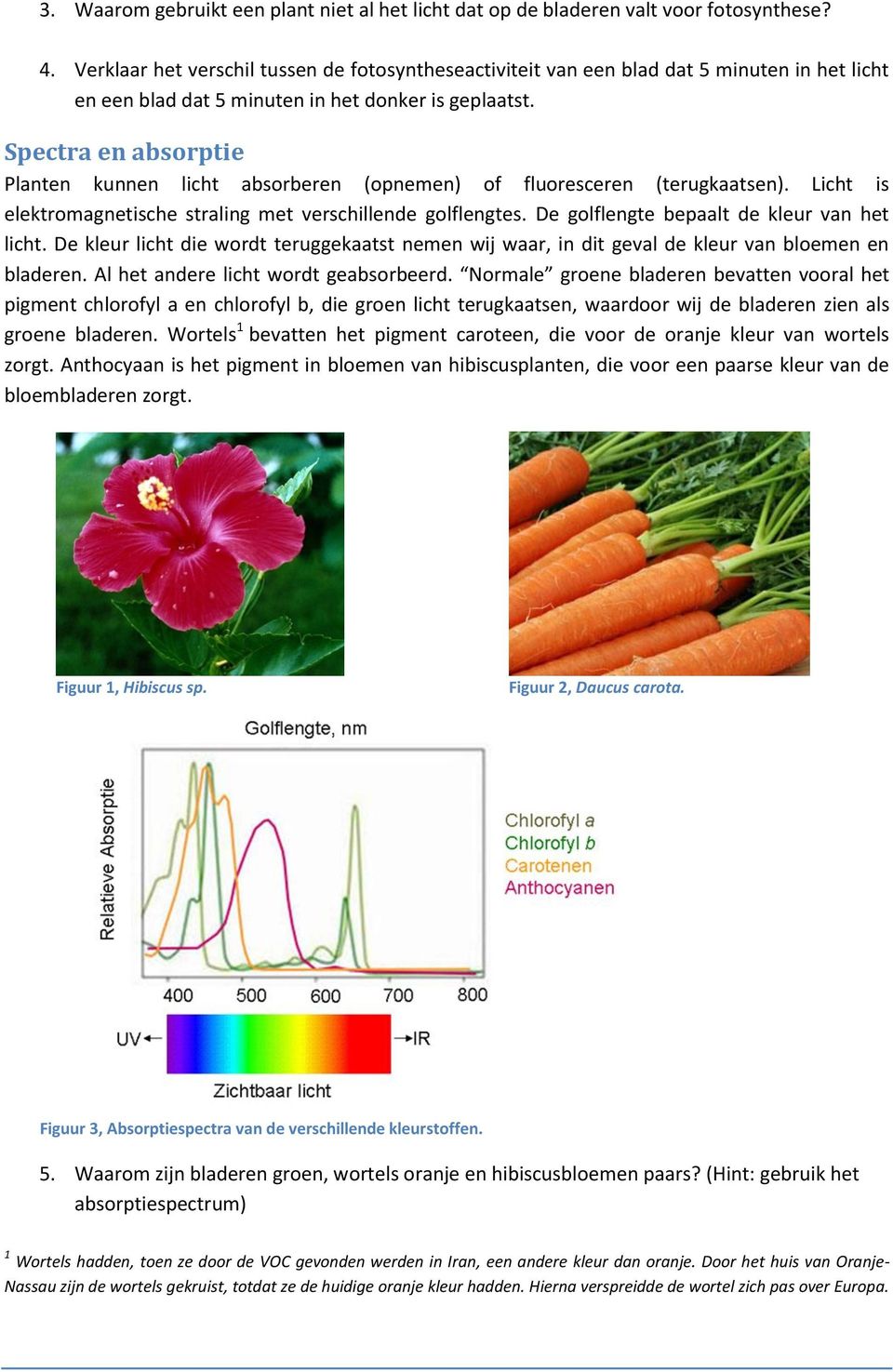 Spectra en absorptie Planten kunnen licht absorberen (opnemen) of fluoresceren (terugkaatsen). Licht is elektromagnetische straling met verschillende golflengtes.