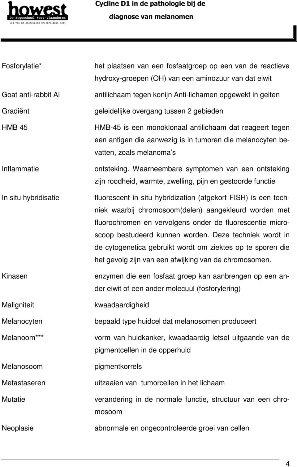 gebieden HMB-45 is een monoklonaal antilichaam dat reageert tegen een antigen die aanwezig is in tumoren die melanocyten bevatten, zoals melanoma s ontsteking.