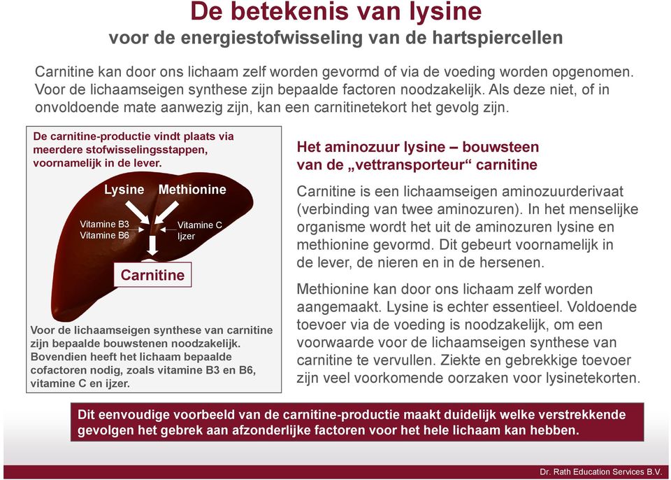 De carnitine-productie vindt plaats via meerdere stofwisselingsstappen, voornamelijk in de lever.