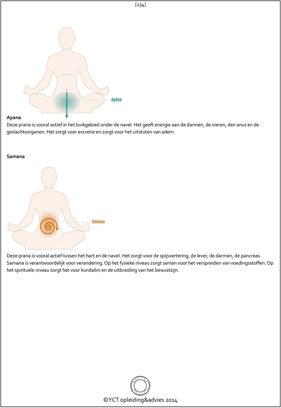 Samana Deze prana is vooral actief tussen het hart en de navel. Het zorgt voor de spijsvertering, de lever, de darmen, de pancreas.