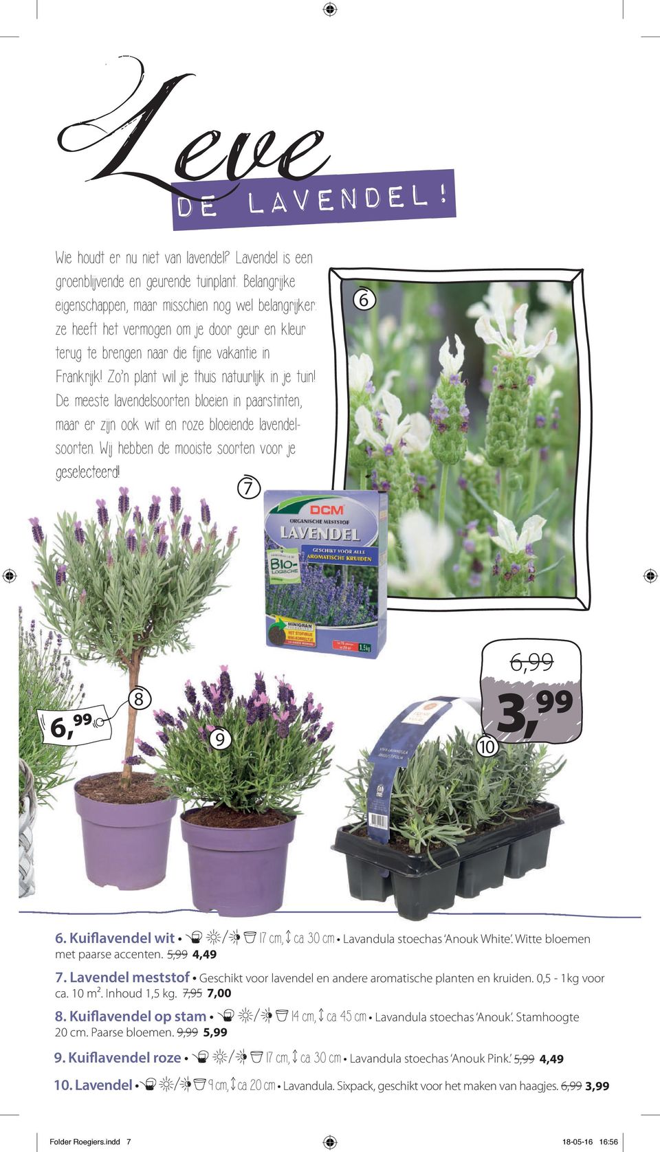 Zo n plant wil je thuis natuurlijk in je tuin! De meeste lavendelsoorten bloeien in paarstinten, maar er zijn ook wit en roze bloeiende lavendelsoorten.