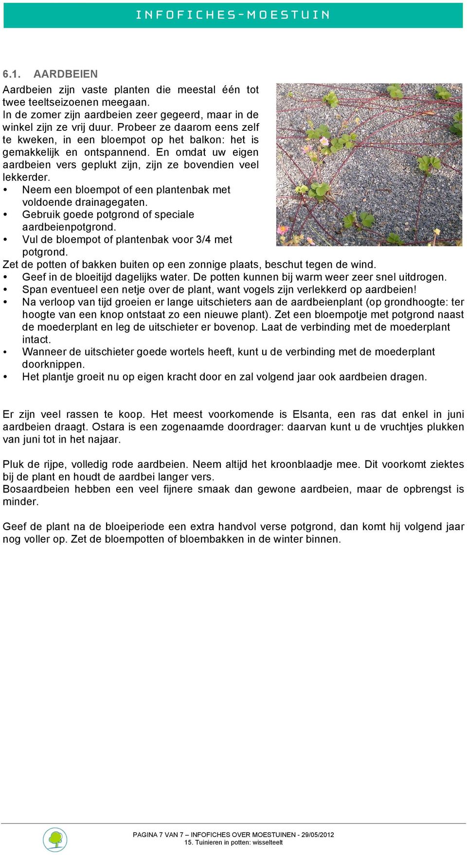 Neem een bloempot of een plantenbak met voldoende drainagegaten. Gebruik goede potgrond of speciale aardbeienpotgrond. Vul de bloempot of plantenbak voor 3/4 met potgrond.