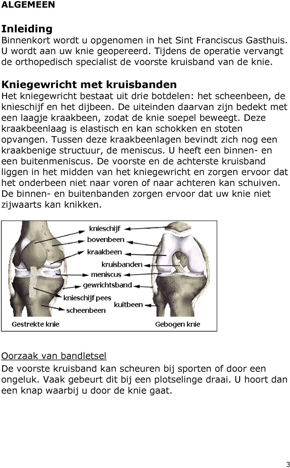 Kniegewricht met kruisbanden Het kniegewricht bestaat uit drie botdelen: het scheenbeen, de knieschijf en het dijbeen.