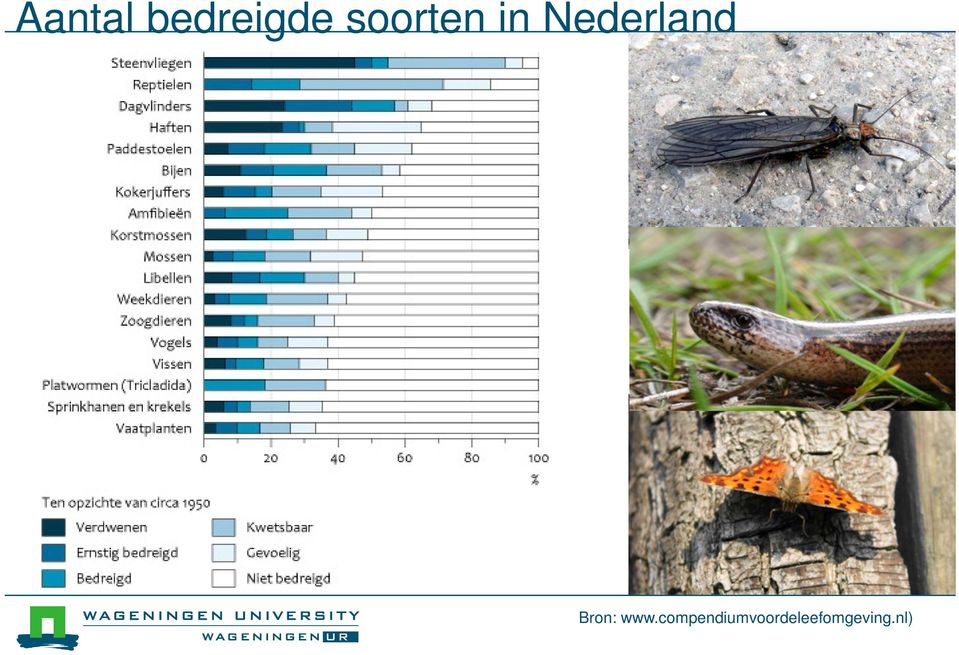 Nederland Bron: www.