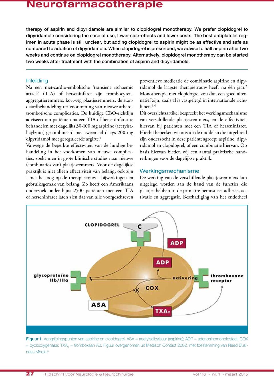 When clopidogrel is prescribed, we advise to halt aspirin after two weeks and continue on clopidogrel monotherapy.