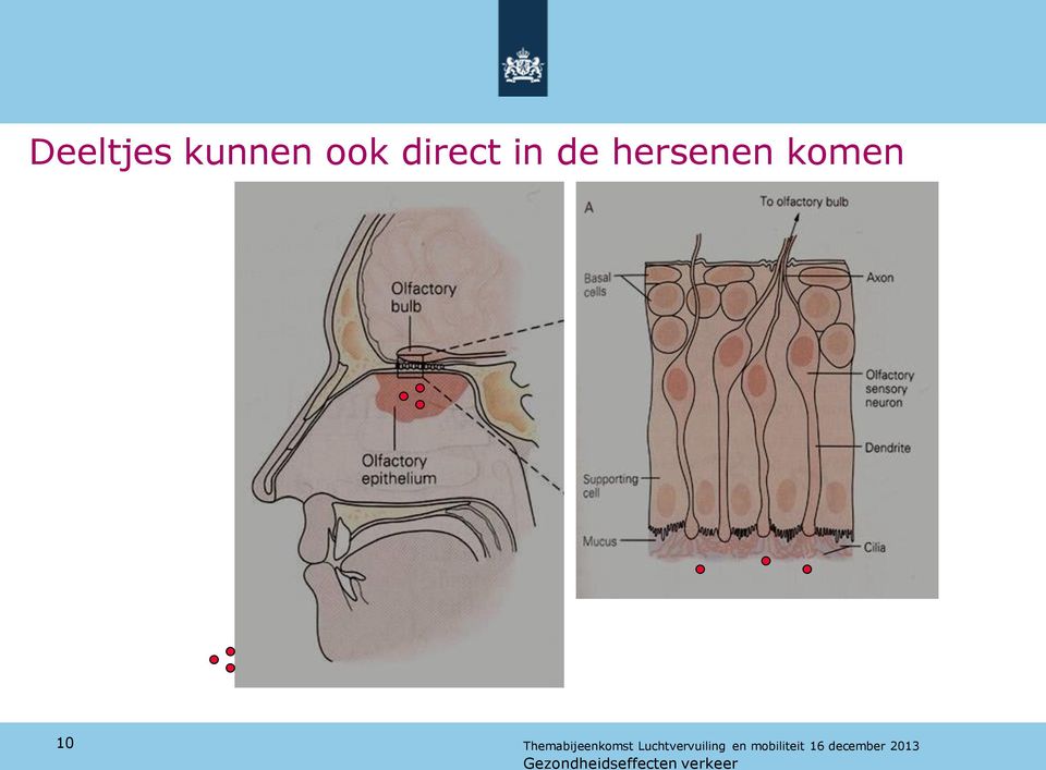 direct in de