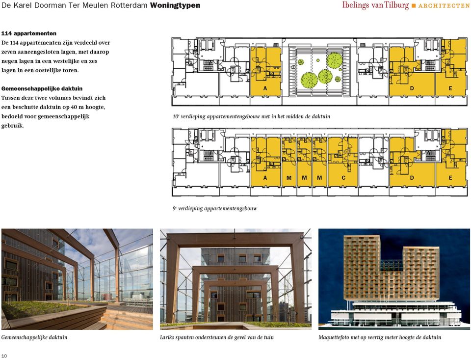 Gemeenschappelijke daktuin A D E Tussen deze twee volumes bevindt zich een beschutte daktuin op 40 m hoogte, bedoeld voor gemeenschappelijk gebruik.