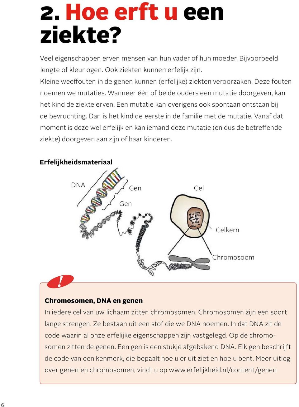 Een mutatie kan overigens ook spontaan ontstaan bij de bevruchting. Dan is het kind de eerste in de familie met de mutatie.