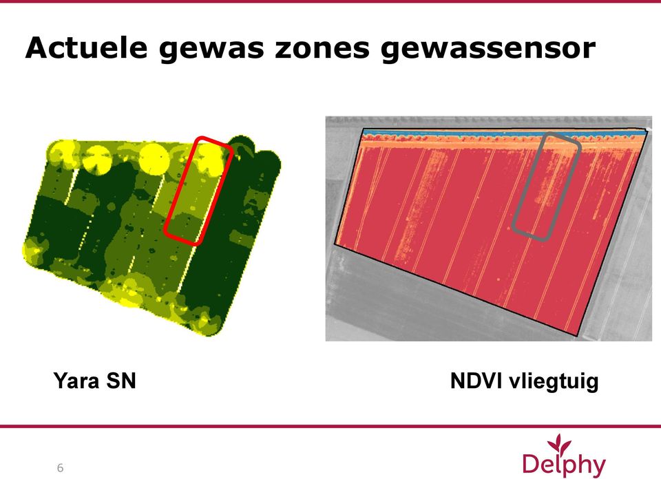 gewassensor