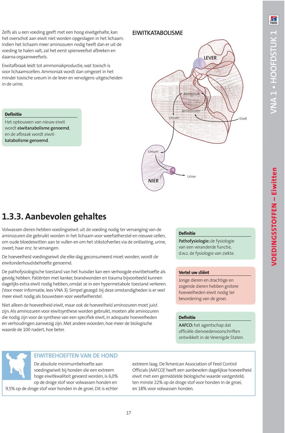 Eiwitafbraak leidt tot ammoniakproductie, wat toxisch is voor lichaamscellen. Ammoniak wordt dan omgezet in het minder toxische ureum in de lever en vervolgens uitgescheiden in de urine.