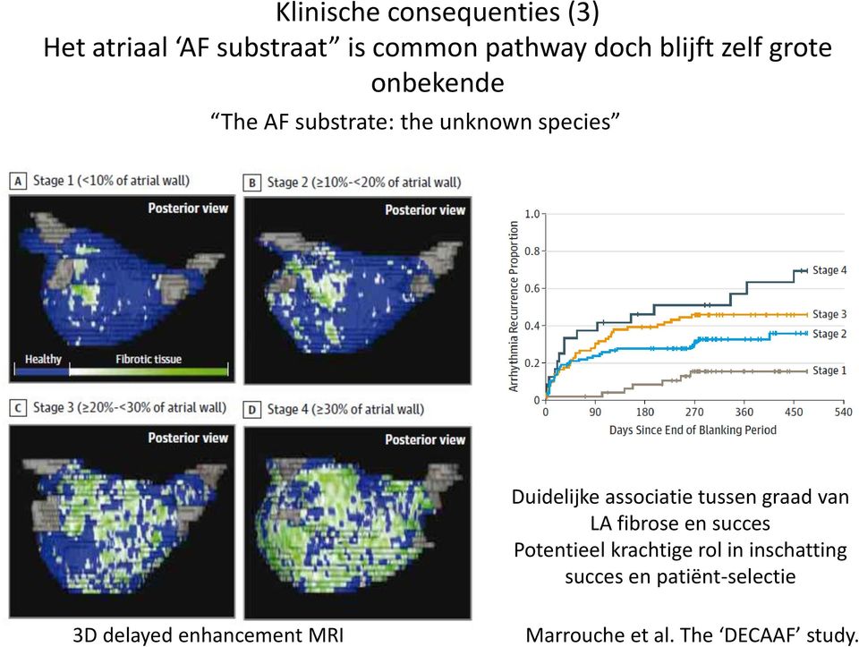 tussen graad van LA fibrose en succes Potentieel krachtige rol in inschatting