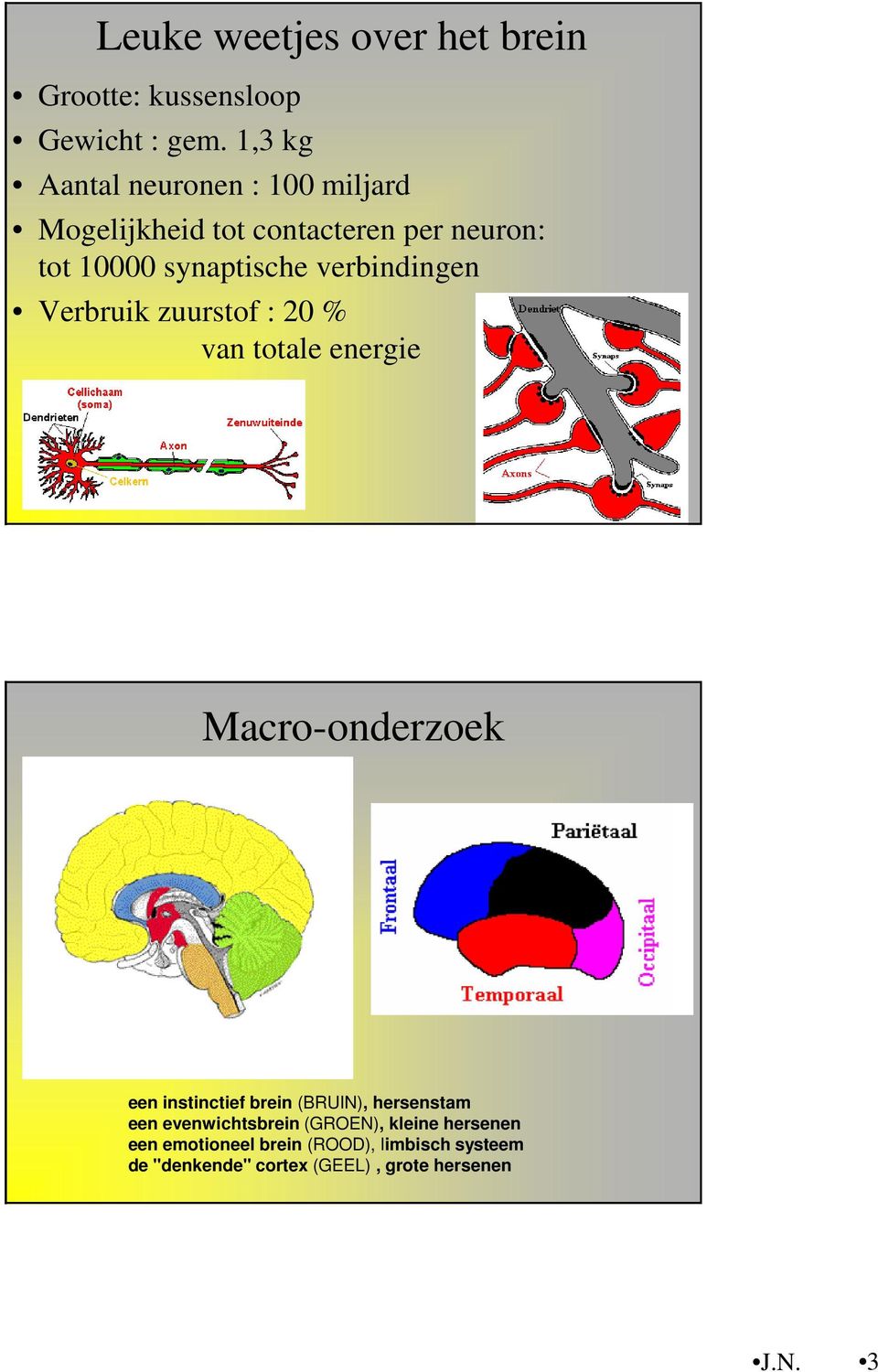 verbindingen Verbruik zuurstof : 20 % van totale energie Macro-onderzoek een instinctief brein (BRUIN),