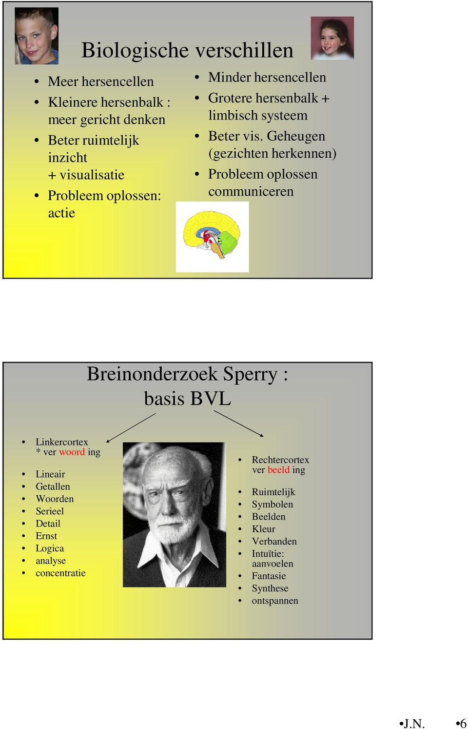 Geheugen (gezichten herkennen) Probleem oplossen communiceren Breinonderzoek Sperry : basis BVL Linkercortex * ver woord ing Lineair