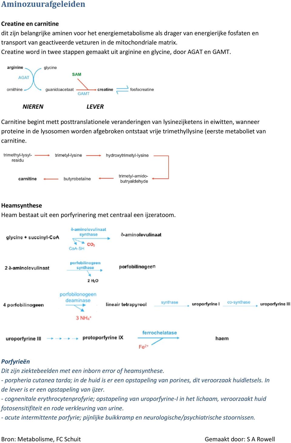 NIEREN LEVER Carnitine begint mett posttranslationele veranderingen van lysinezijketens in eiwitten, wanneer proteine in de lysosomen worden afgebroken ontstaat vrije trimethyllysine (eerste