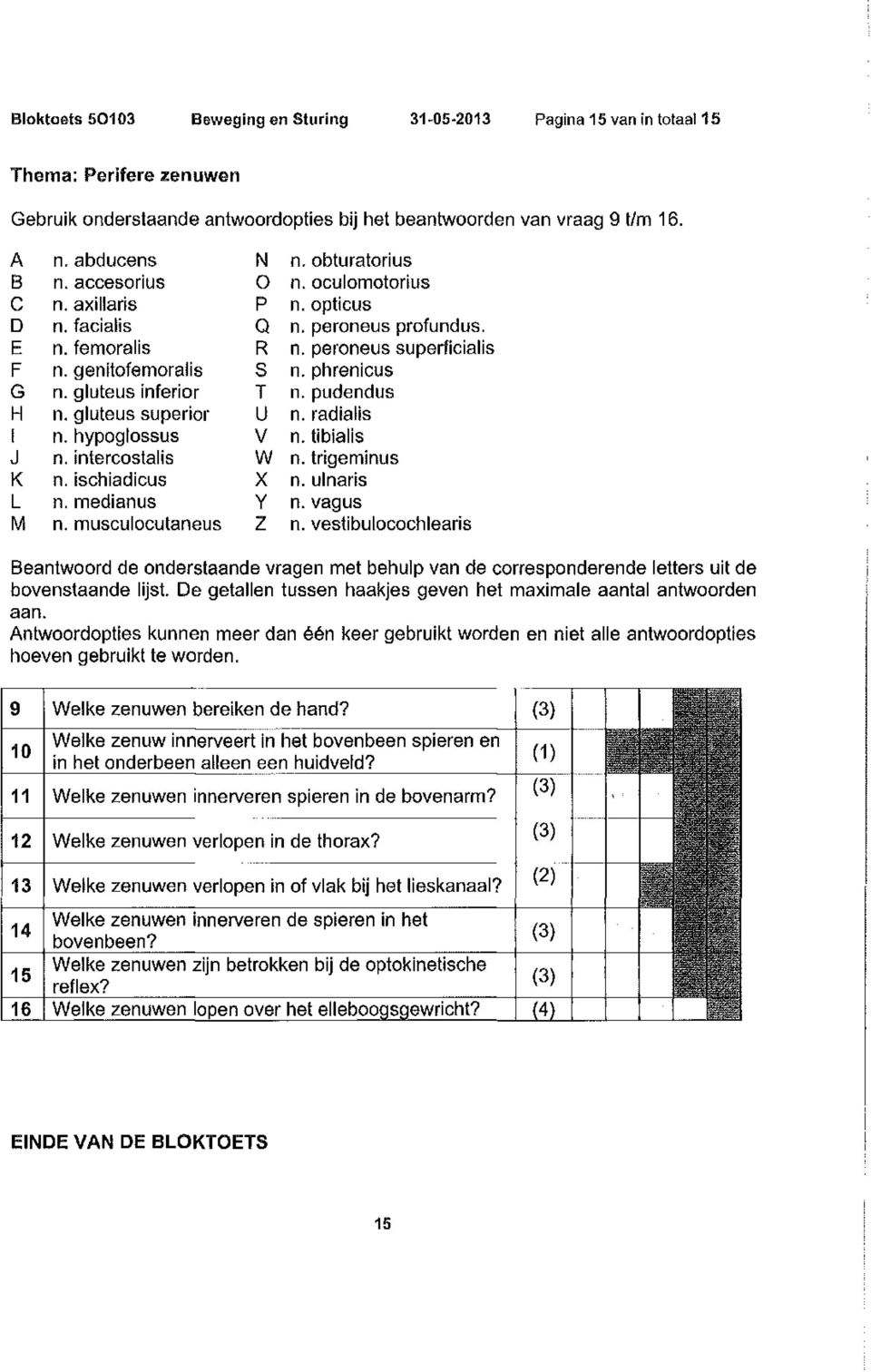 gluteus inferior T n.pudendus H n. gluteus superior u n. radialis I n. hypoglossus V n. libialis J n. inlercoslalis w n. lrigeminus K n. ischiadicus x n. ulnaris L n. medianus y n. vagus M n.