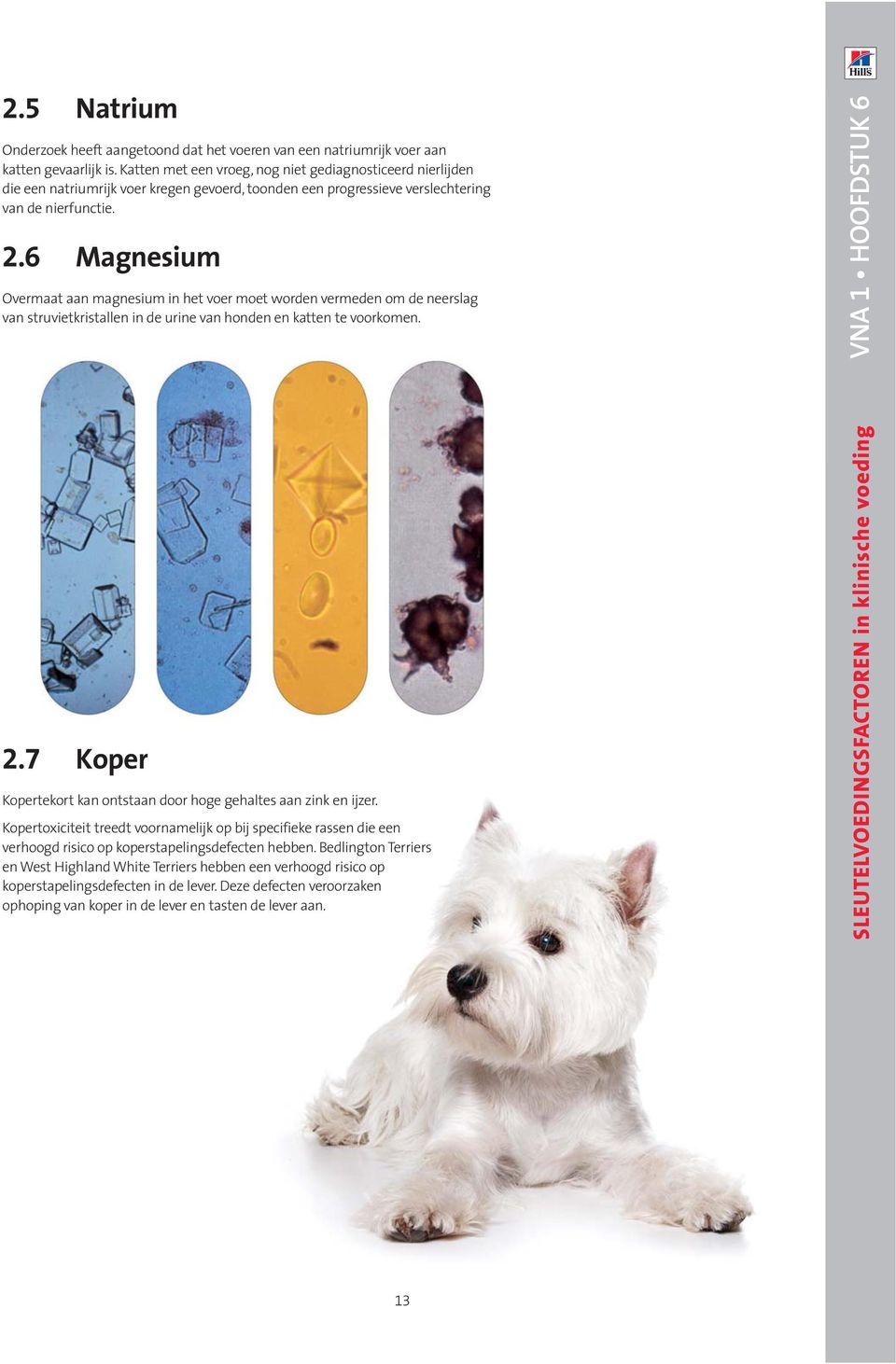 6 Magnesium Overmaat aan magnesium in het voer moet worden vermeden om de neerslag van struvietkristallen in de urine van honden en katten te voorkomen. VNA 1 HOOFDSTUK 6 2.