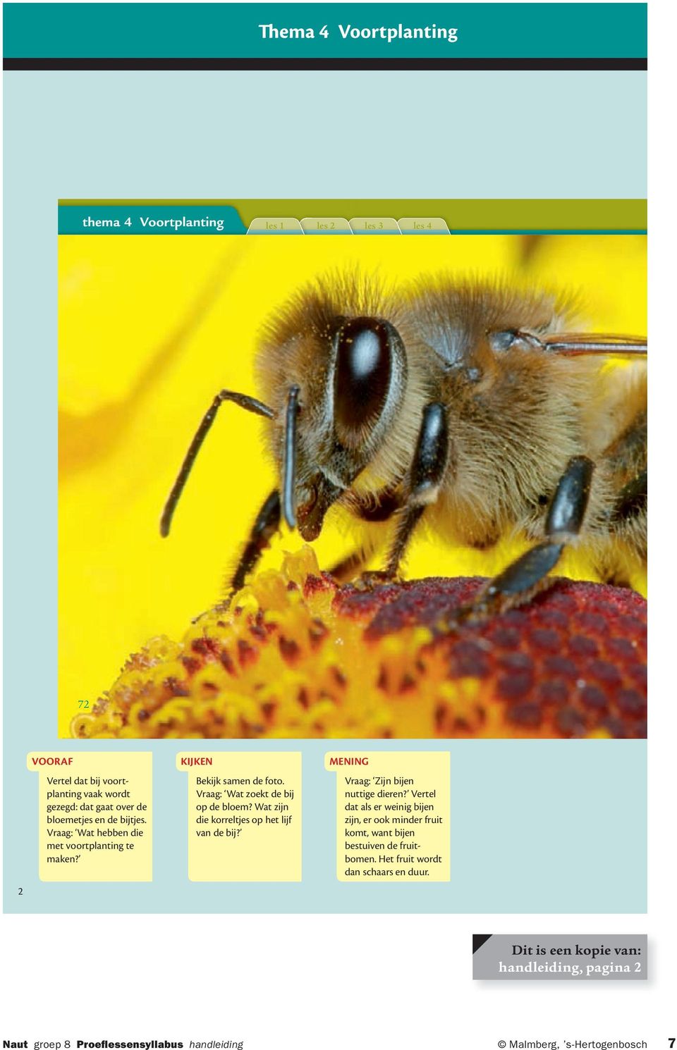 Wat zijn die korreltjes op het lijf van de bij? MENING Vraag: Zijn bijen nuttige dieren?