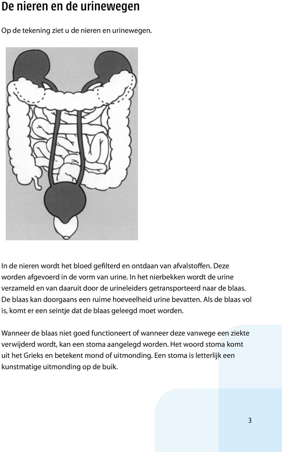 De blaas kan doorgaans een ruime hoeveelheid urine bevatten. Als de blaas vol is, komt er een seintje dat de blaas geleegd moet worden.