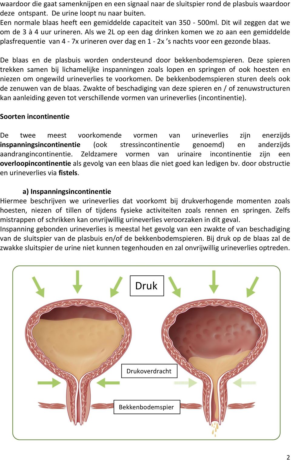 Als we 2L op een dag drinken komen we zo aan een gemiddelde plasfrequentie van 4-7x urineren over dag en 1-2x s nachts voor een gezonde blaas.