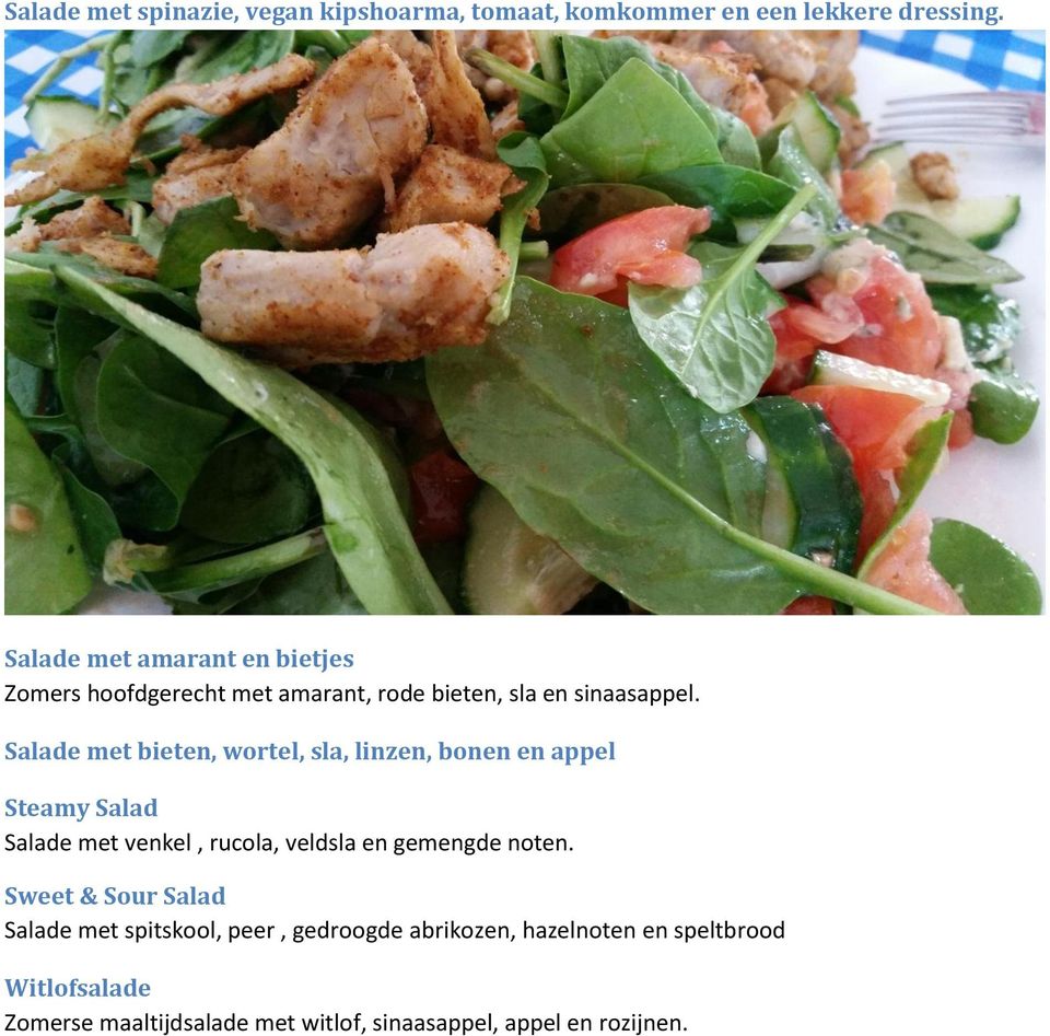 Salade met bieten, wortel, sla, linzen, bonen en appel Steamy Salad Salade met venkel, rucola, veldsla en gemengde