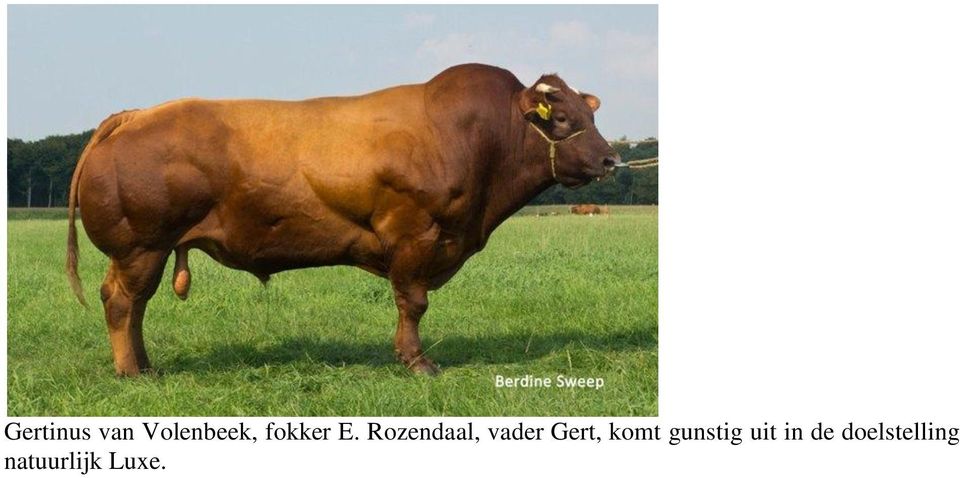 Rozendaal, vader Gert, komt