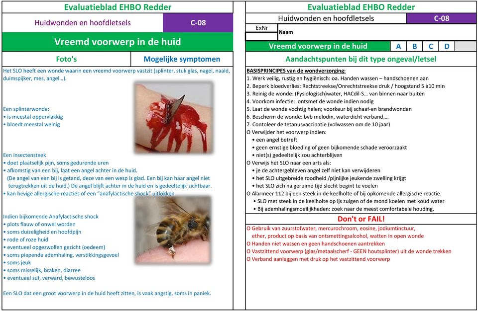 (De angel van een bij is getand, deze van een wesp is glad. Een bij kan haar angel niet terugtrekken uit de huid.) De angel blijft achter in de huid en is gedeeltelijk zichtbaar.