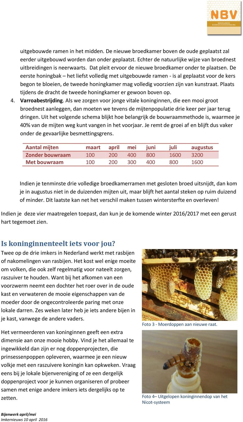 De eerste honingbak het liefst volledig met uitgebouwde ramen - is al geplaatst voor de kers begon te bloeien, de tweede honingkamer mag volledig voorzien zijn van kunstraat.