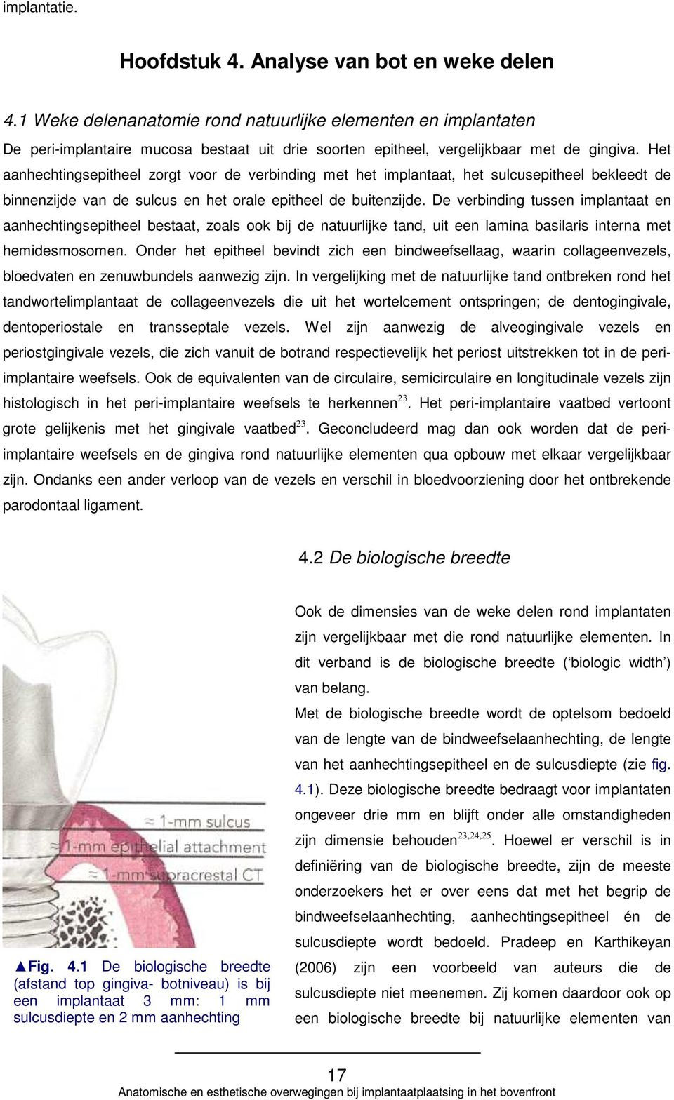 Het aanhechtingsepitheel zorgt voor de verbinding met het implantaat, het sulcusepitheel bekleedt de binnenzijde van de sulcus en het orale epitheel de buitenzijde.